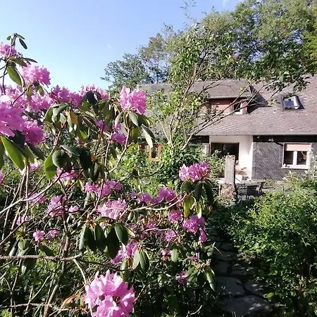 Appartement Wellnessoase Im Gruenen Direkt Am Mittelrheintal Pfalzfeld